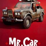Mr. Car and the Knights Templar 2023 Polish
